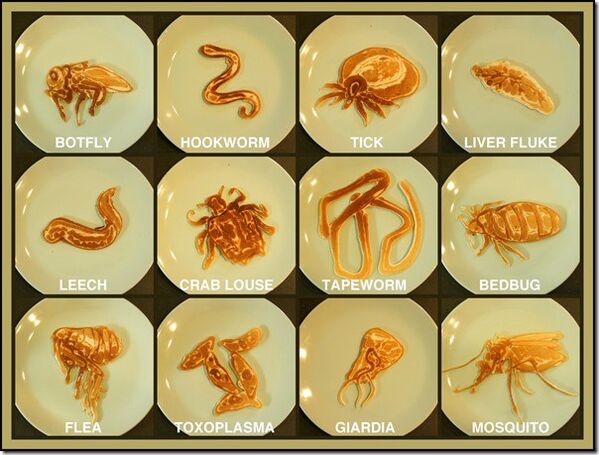 parasites