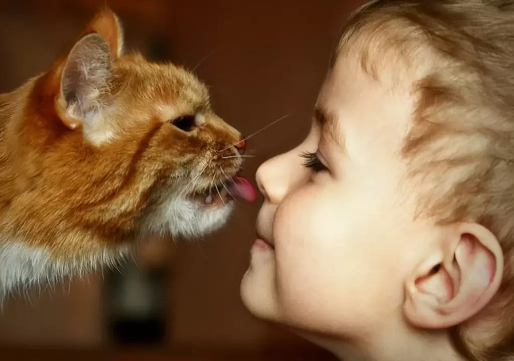 A boy kisses a cat and becomes infected with worms.